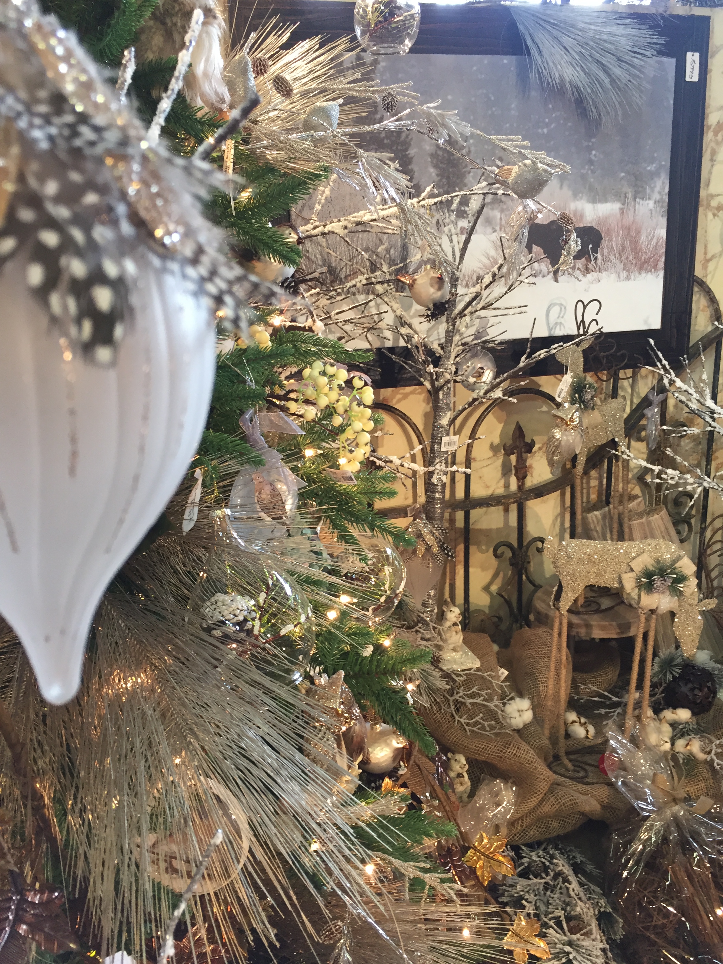 Photo Gallery Delaware Garden Center Oakland Nursery