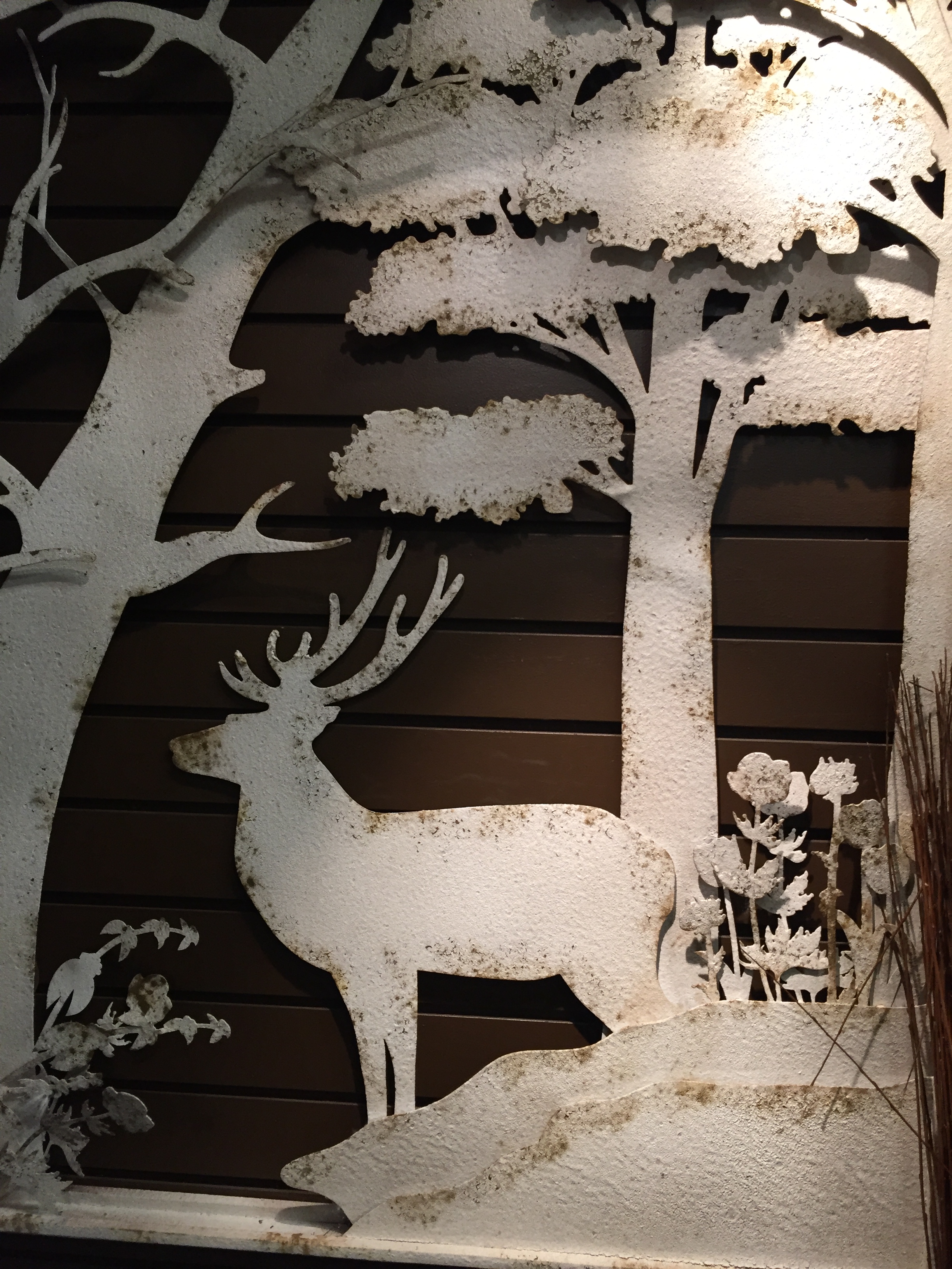 Photo Gallery Delaware Garden Center Oakland Nursery