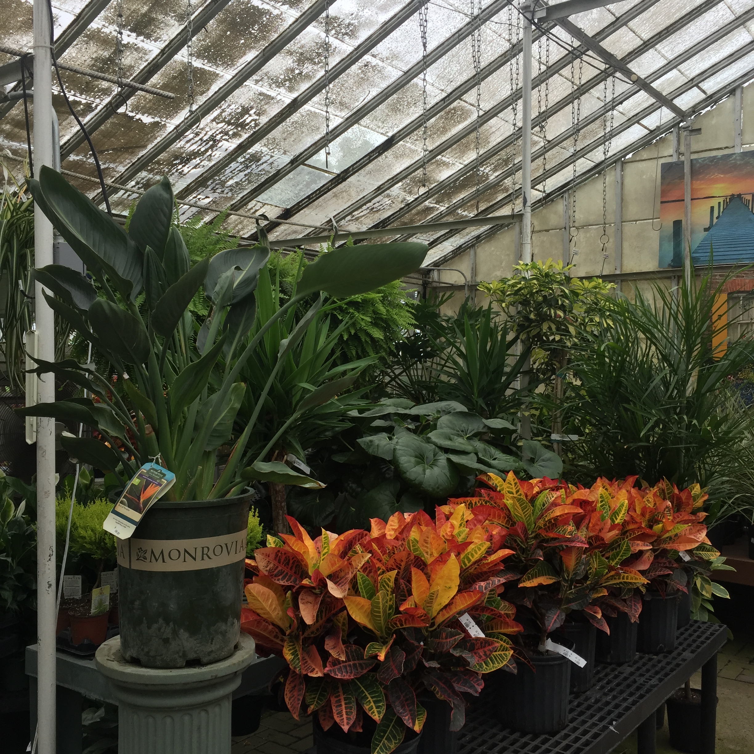 Photo Gallery Delaware Garden Center Oakland Nursery