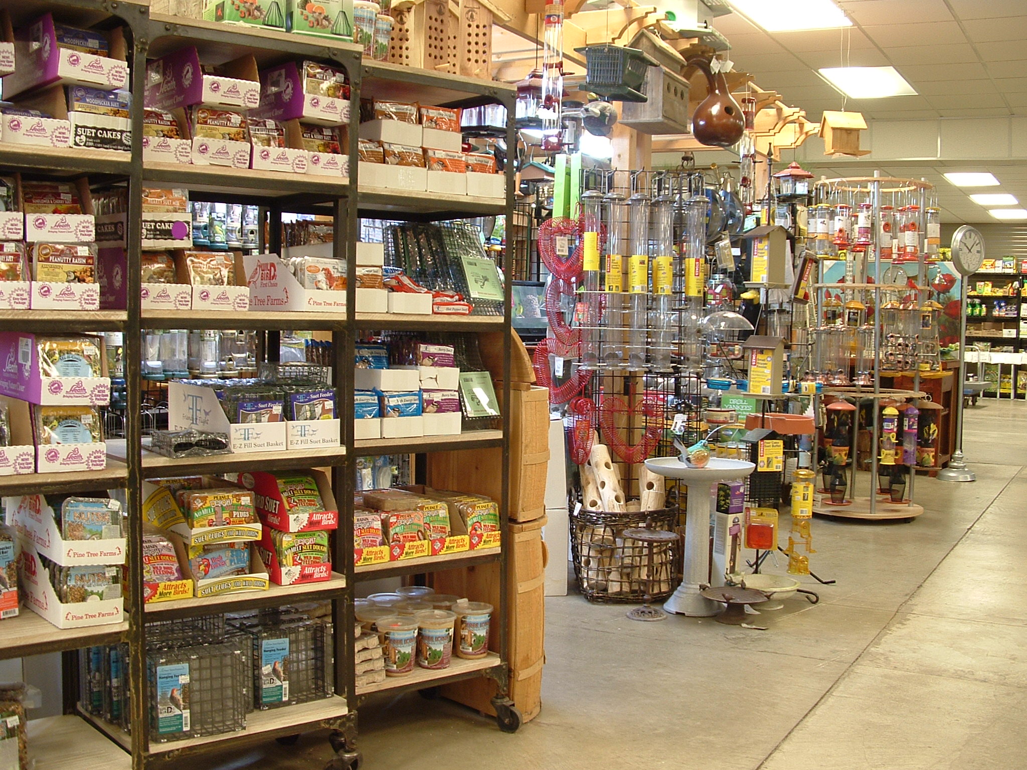 Photo Gallery Dublin Garden Center Oakland Nursery