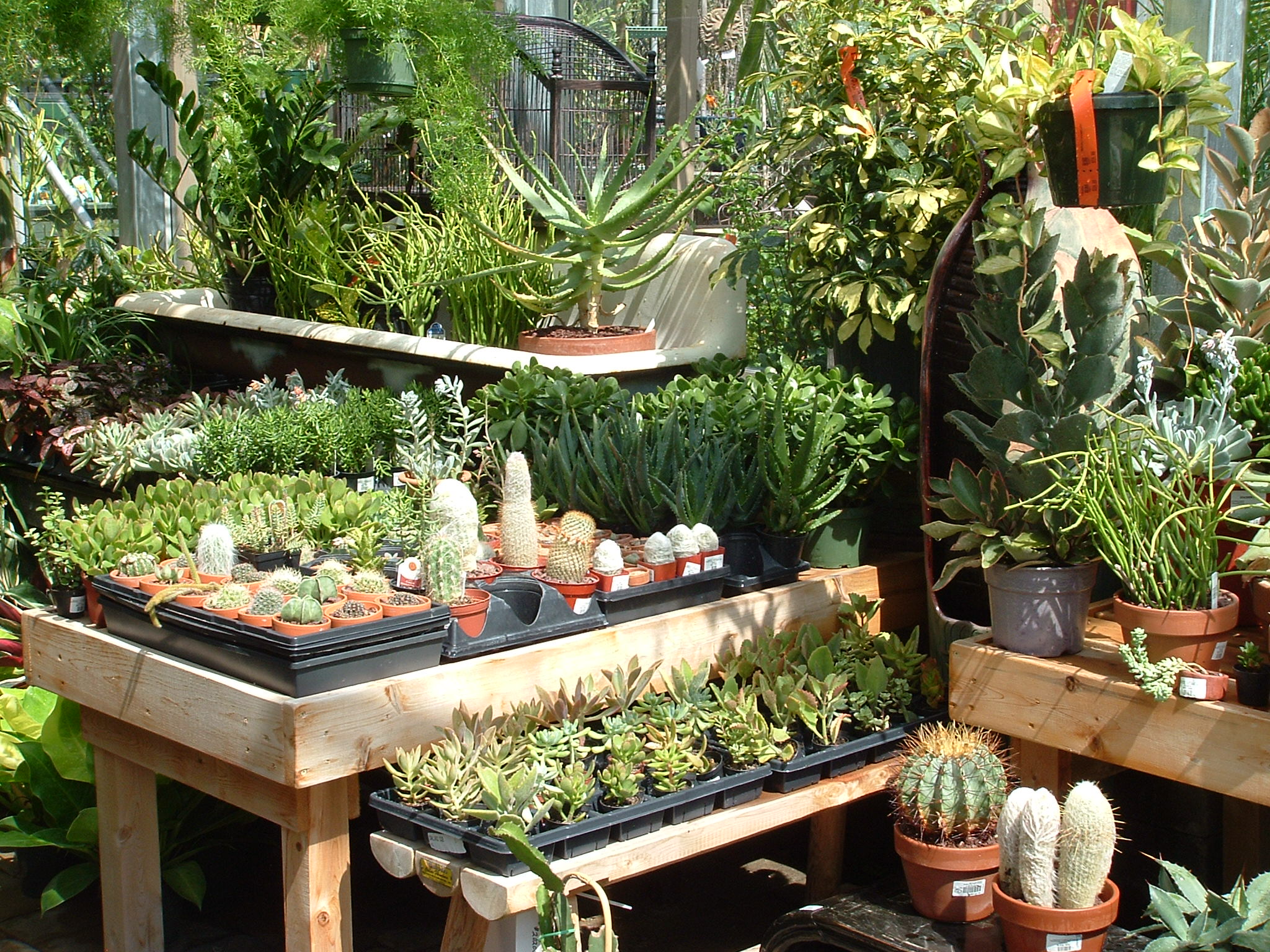 Photo Gallery Dublin Garden Center Oakland Nursery