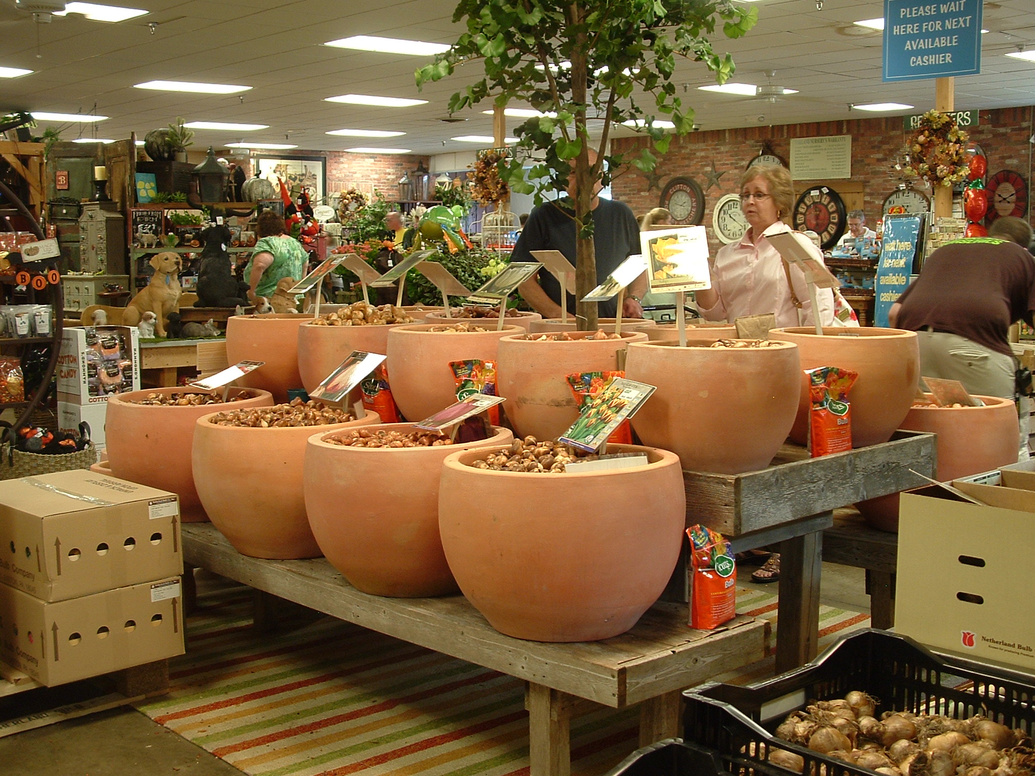 Photo Gallery Dublin Garden Center Oakland Nursery