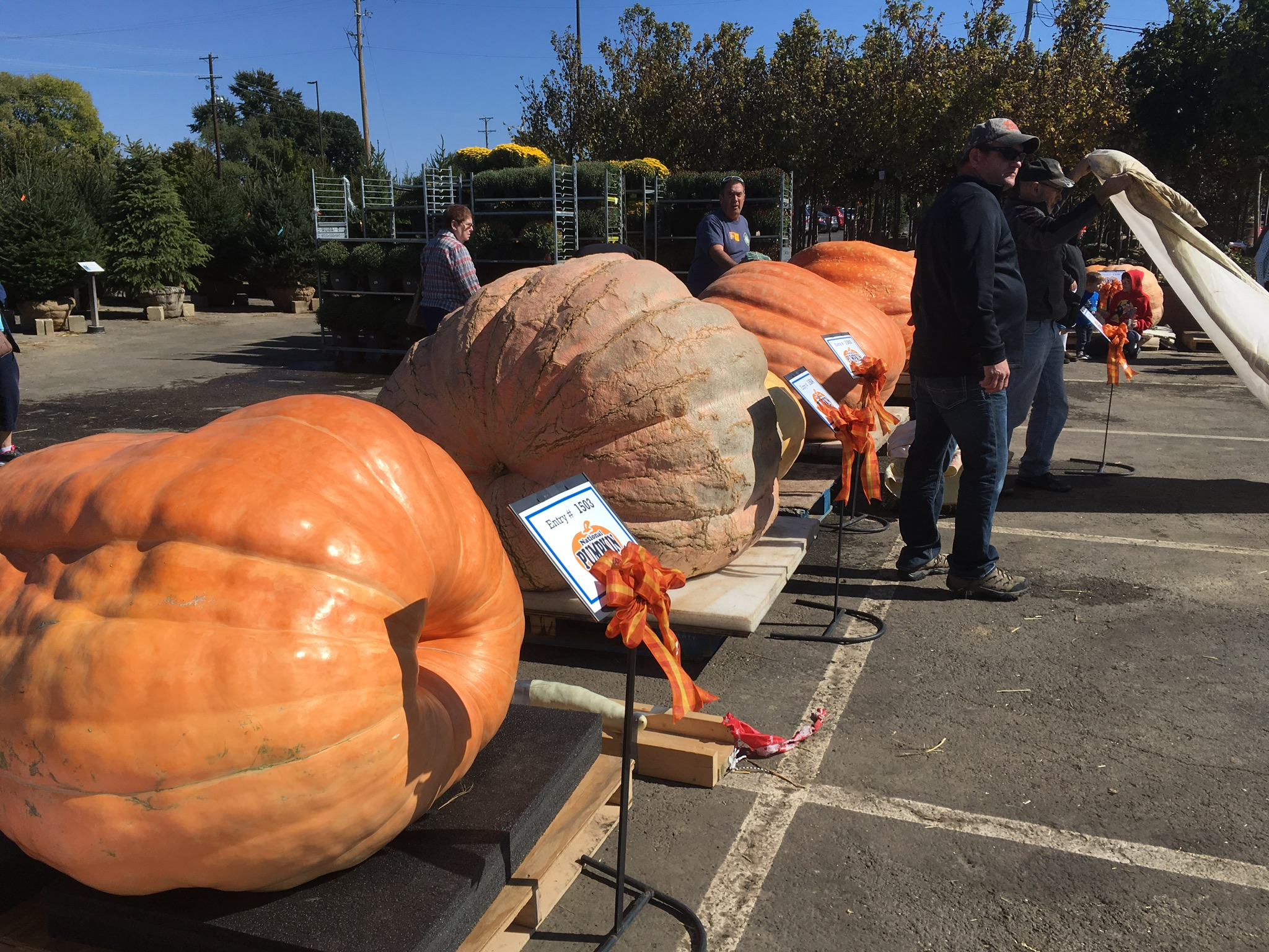 Photo Gallery Dublin Garden Center Oakland Nursery