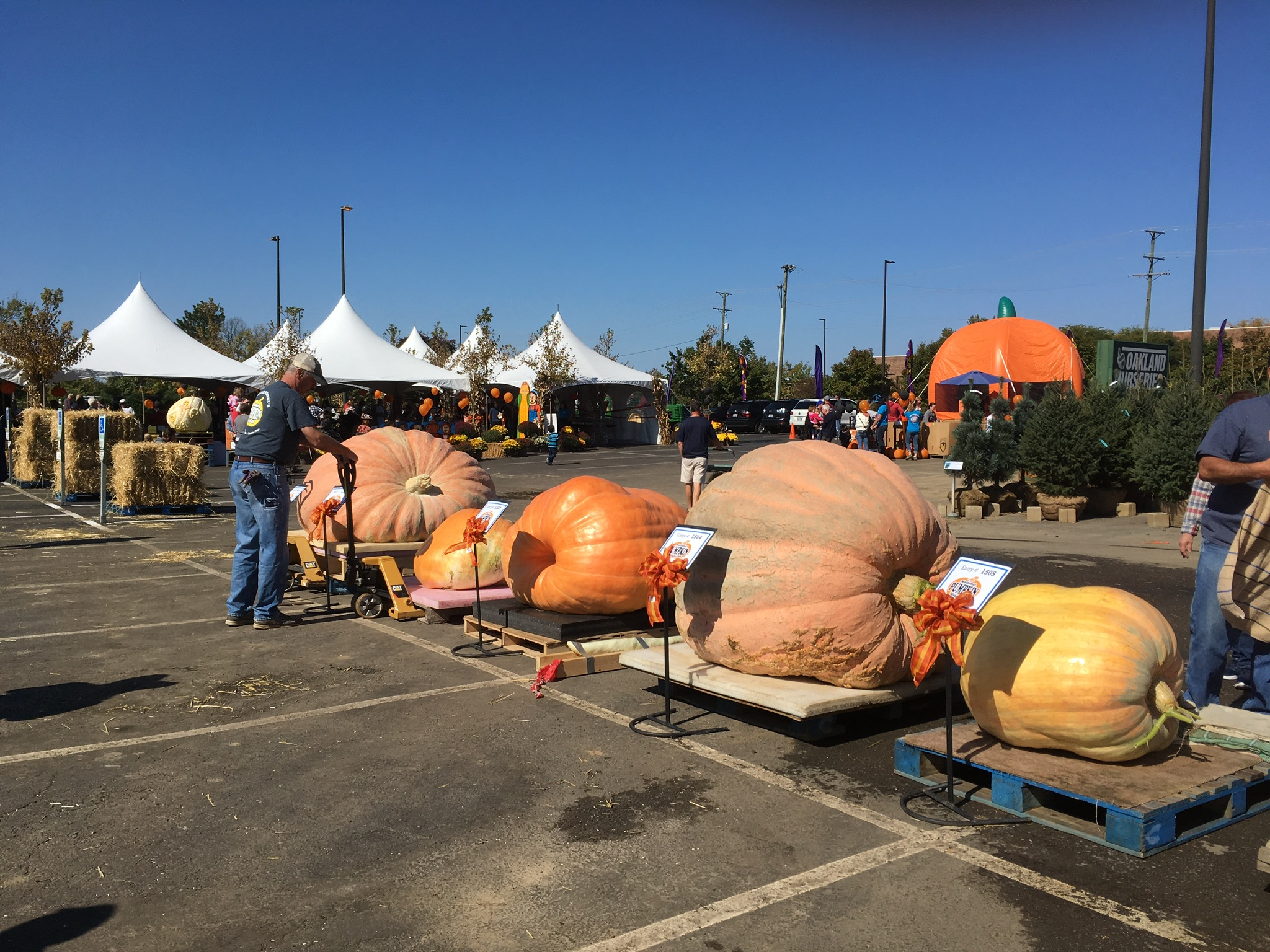 Photo Gallery Dublin Garden Center Oakland Nursery