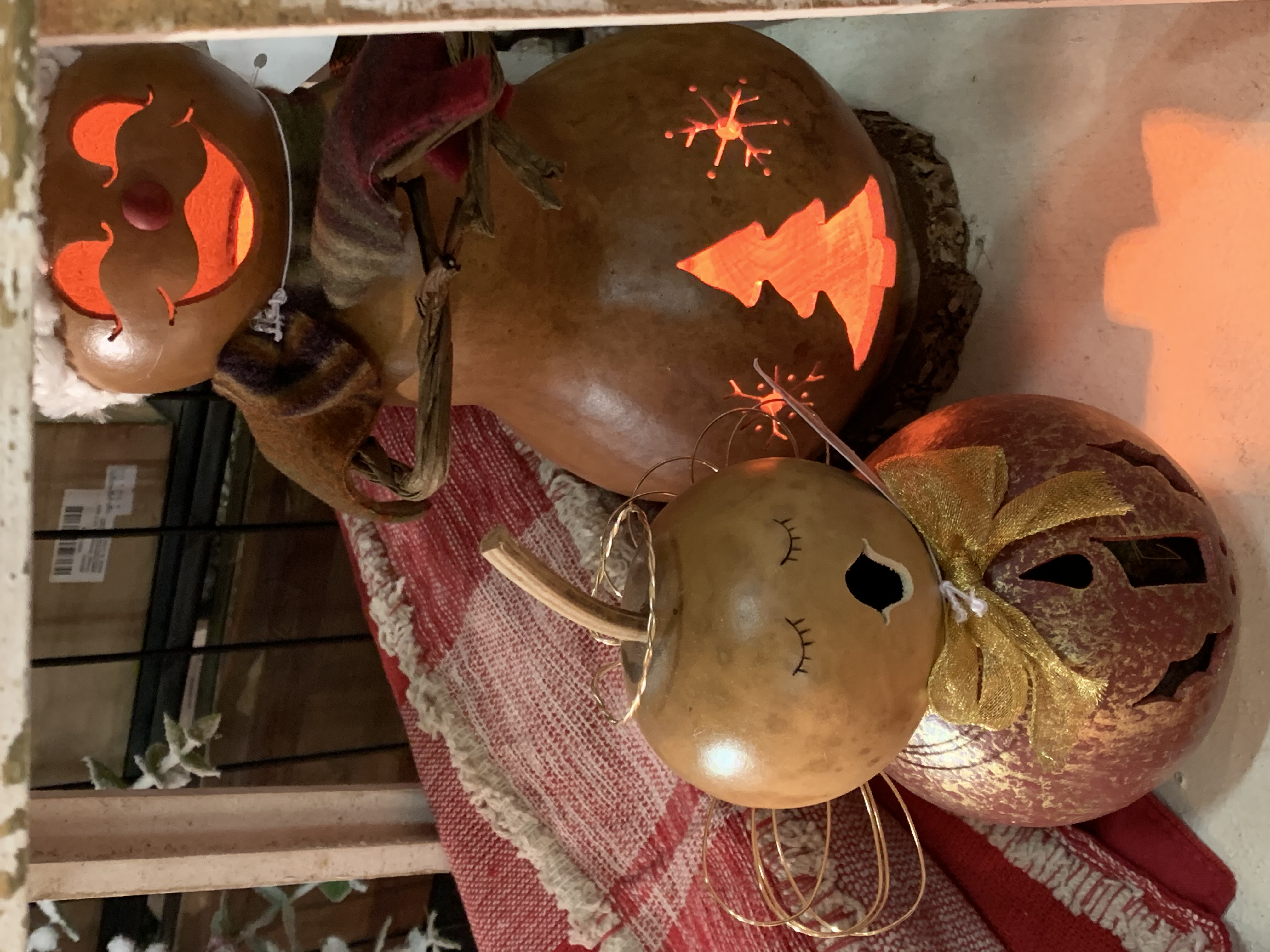 Photo Gallery Delaware Garden Center Oakland Nursery