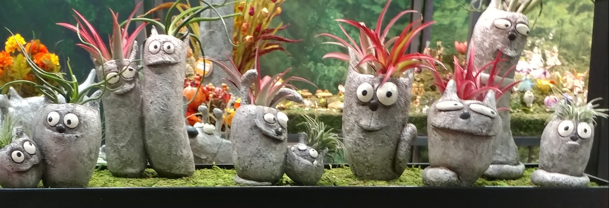 Photo Gallery Oakland INSIDE & OUT Garden & Gifts