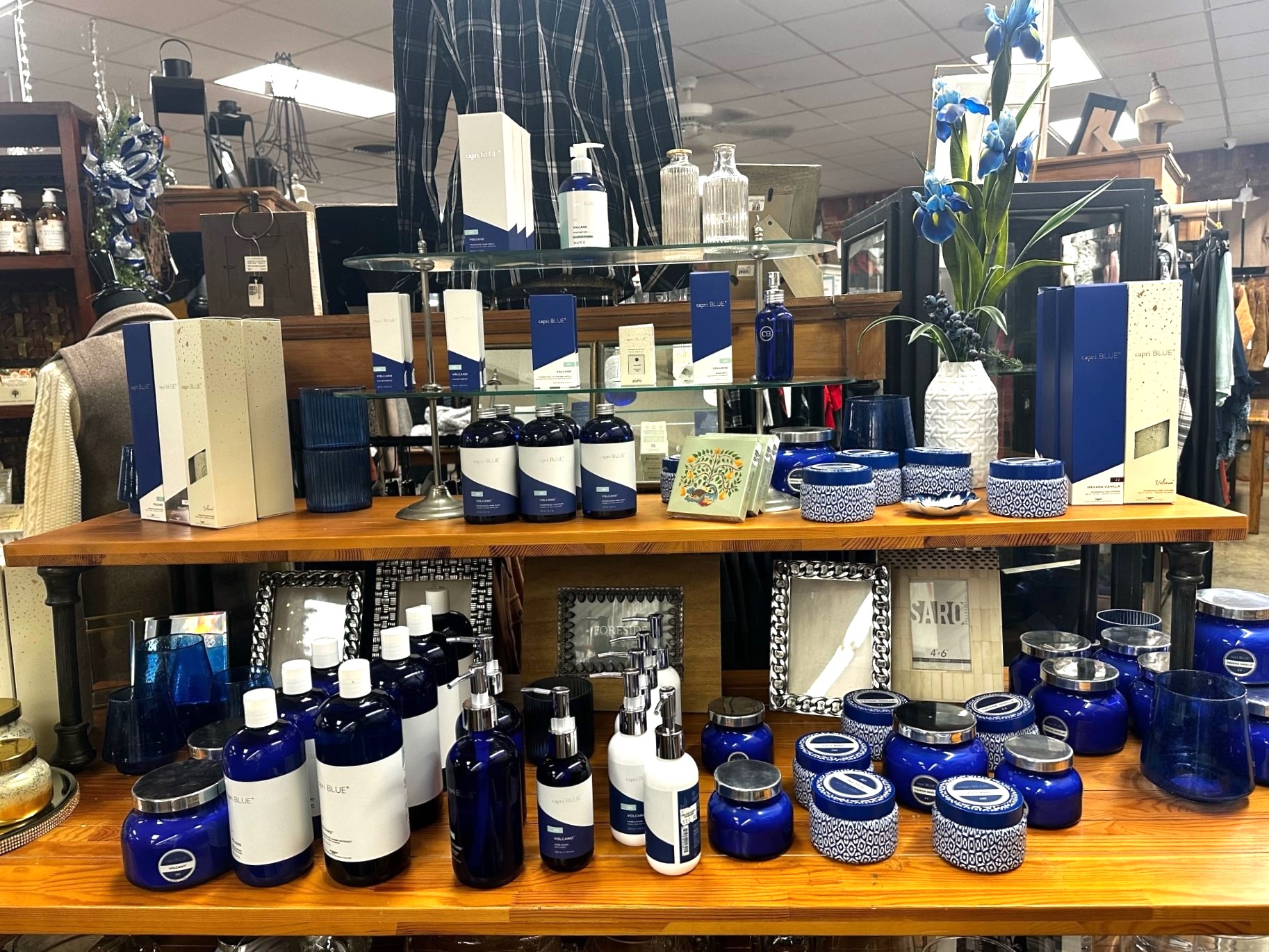 Photo Gallery Dublin Garden Center Oakland Nursery