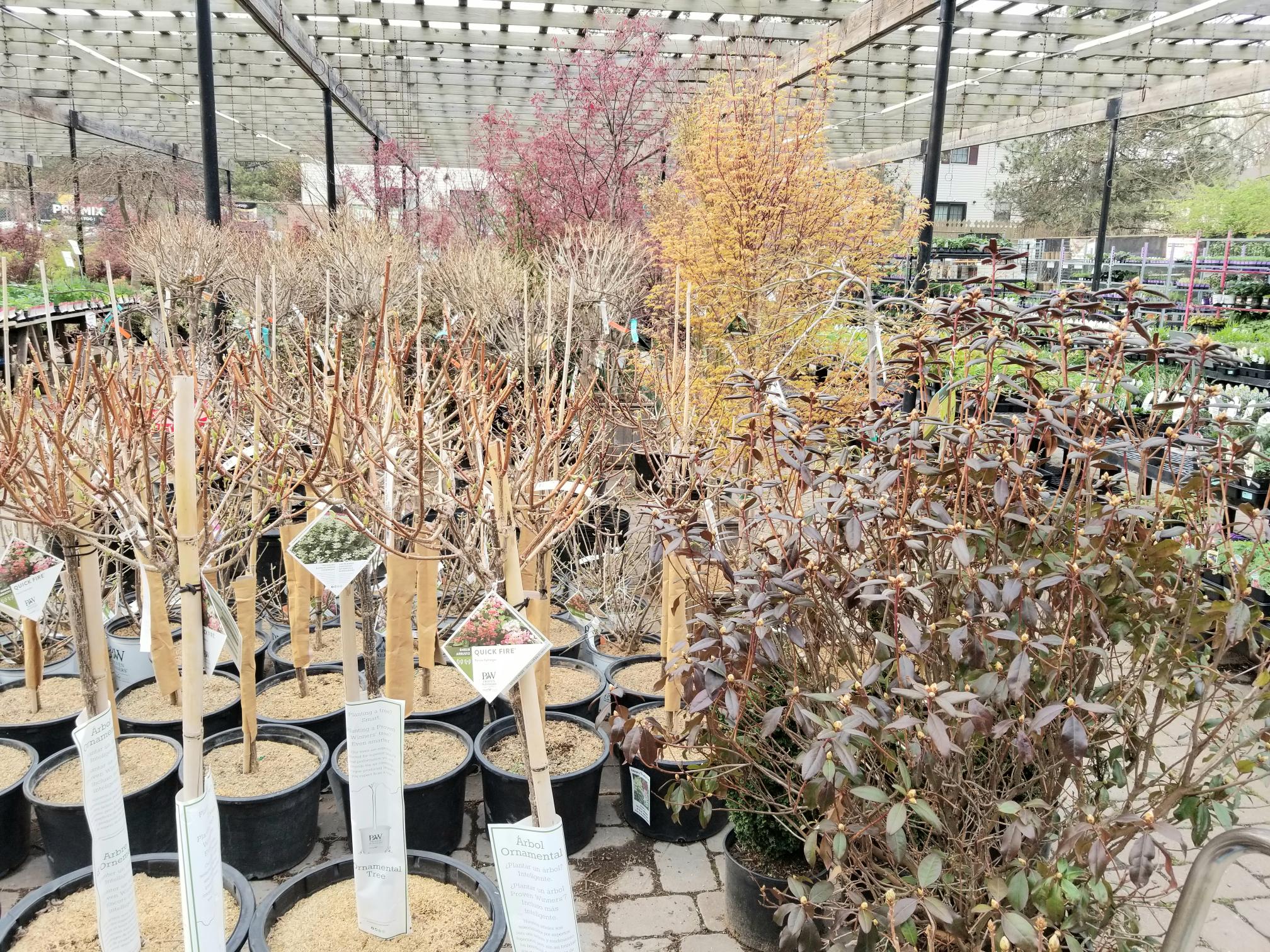 Photo Gallery Dublin Garden Center Oakland Nursery