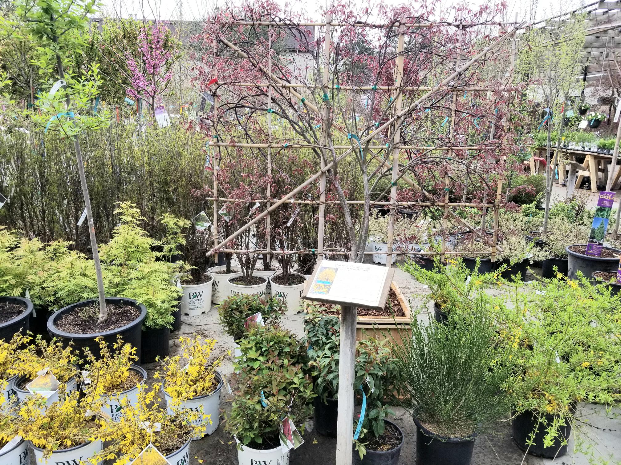 Photo Gallery Dublin Garden Center Oakland Nursery