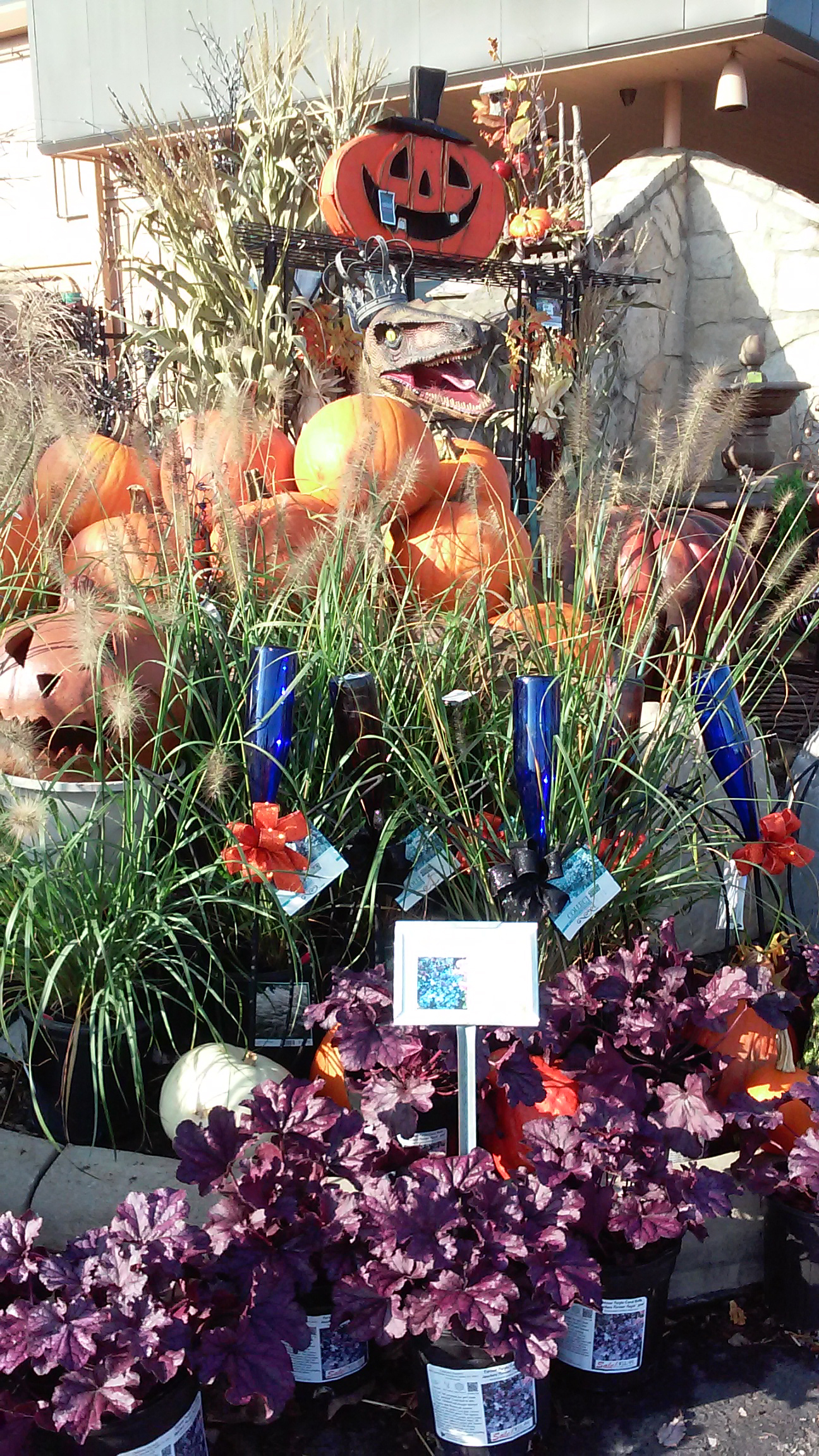 Photo Gallery Dublin Garden Center Oakland Nursery