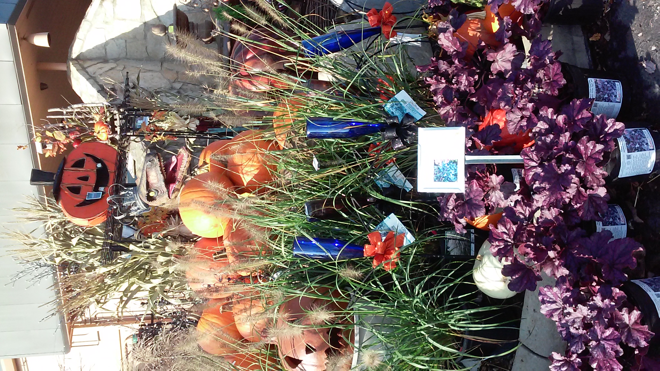 Photo Gallery Dublin Garden Center Oakland Nursery