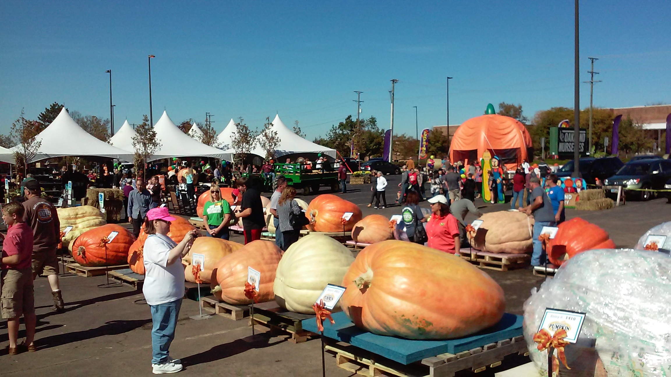 Photo Gallery Dublin Garden Center Oakland Nursery