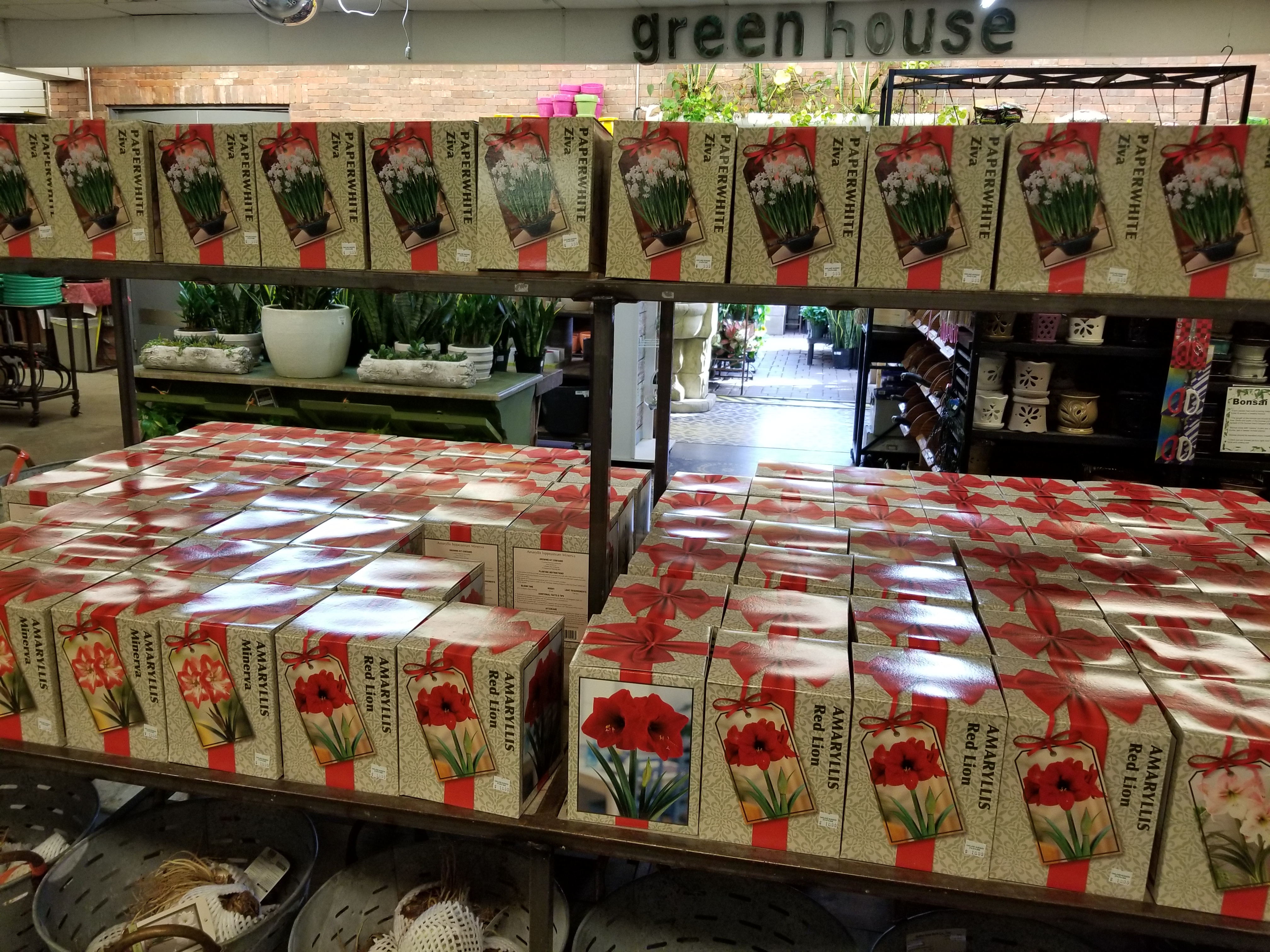 Photo Gallery Dublin Garden Center Oakland Nursery