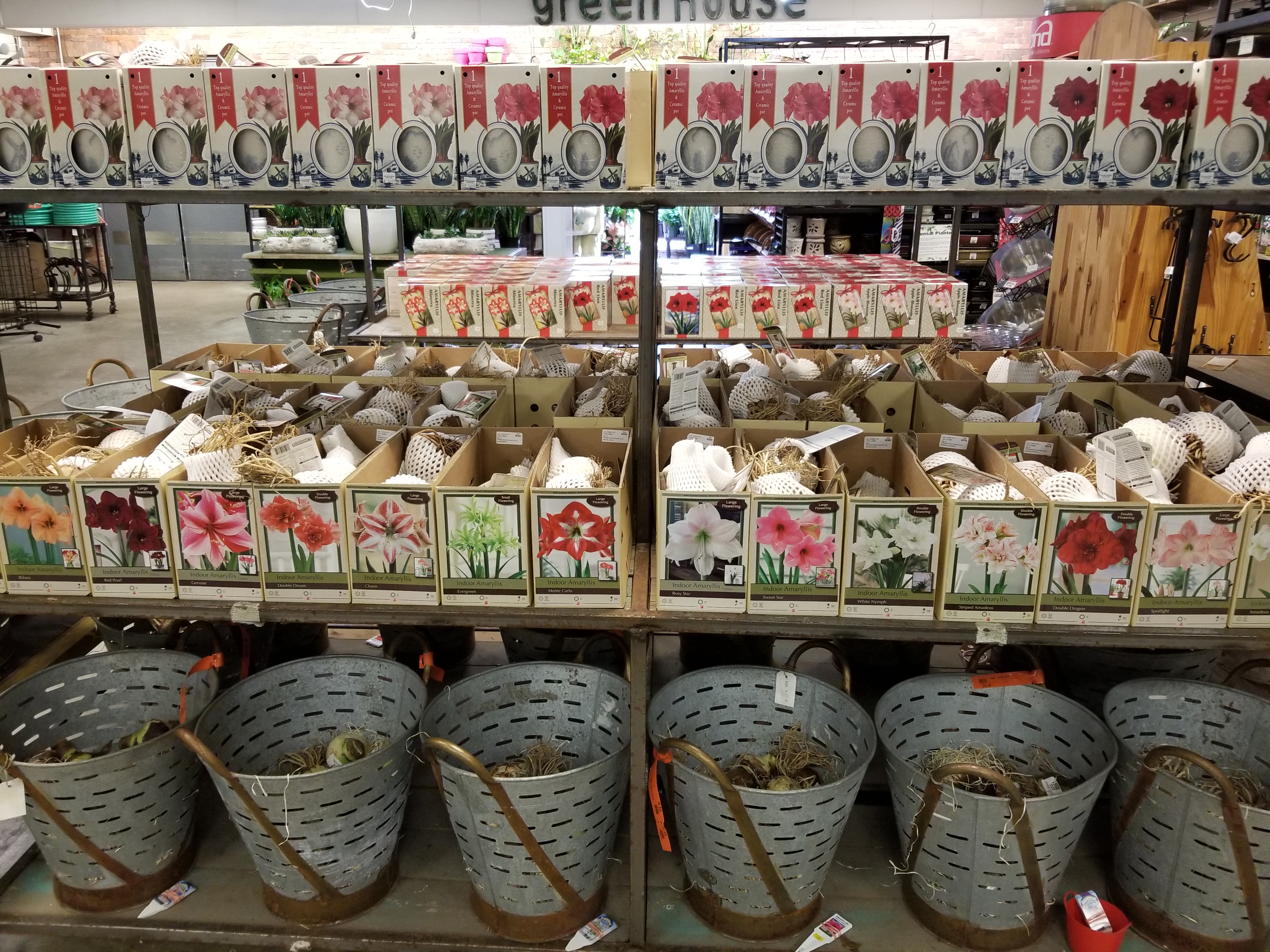 Photo Gallery Dublin Garden Center Oakland Nursery